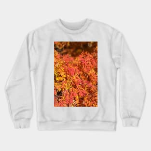 Autumn Crewneck Sweatshirt